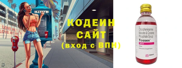 твердый Краснослободск