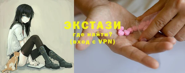 твердый Краснослободск