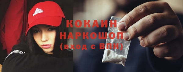 твердый Краснослободск