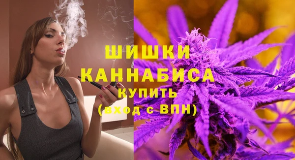 твердый Краснослободск