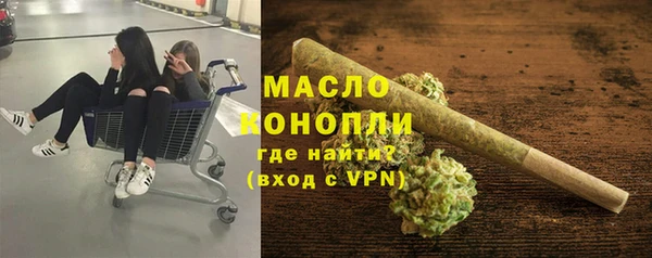 твердый Краснослободск