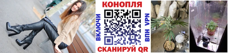 Купить закладки  Старый Крым  Шишки марихуана планчик 